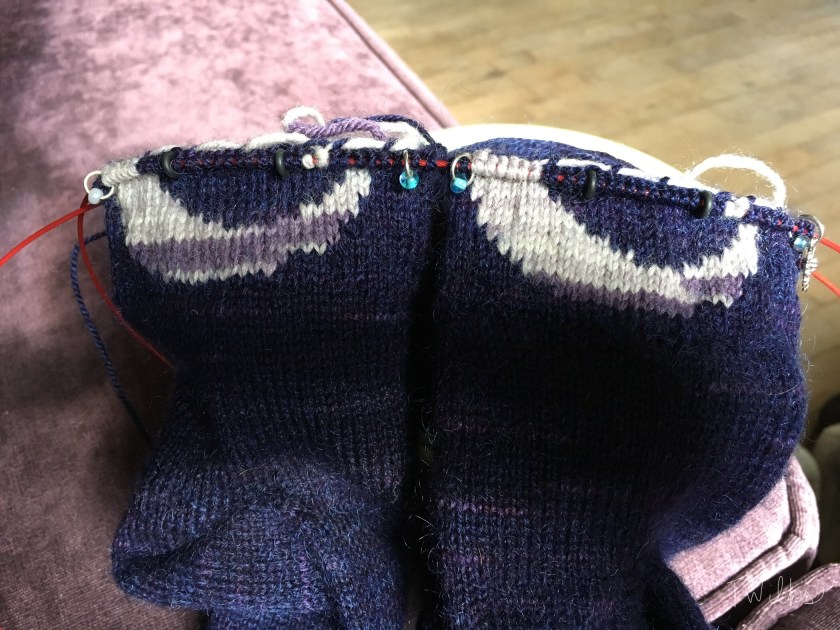 Yes, I’m using a variegated yarn for the colorwork. I think it works with the motif.