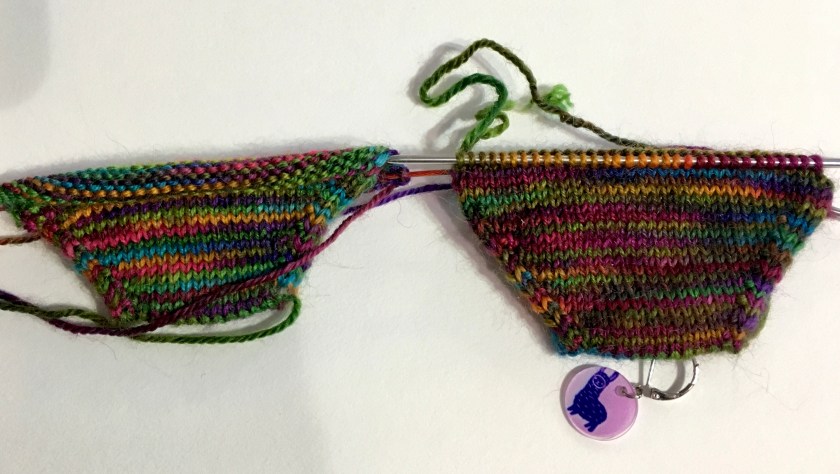 @MountainColors Bearfeet, Blooming Gale